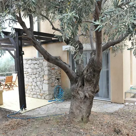 Melolia Estate Lejlighed Alikí